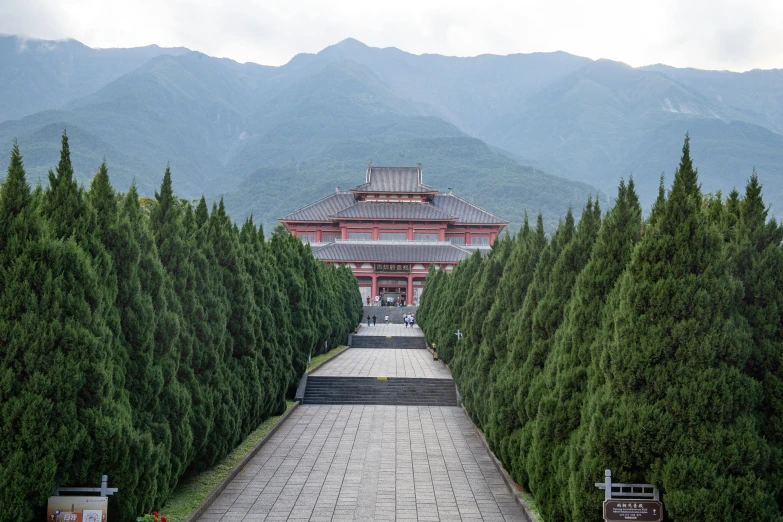 a view of the pagoda through the trees