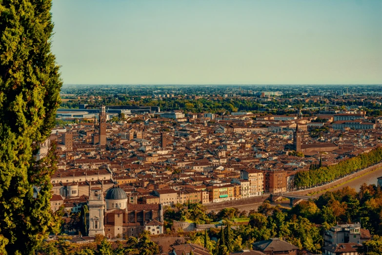 a city from a high point of view with a lot of tall buildings