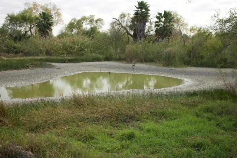 an abandoned and empty park with some small pond