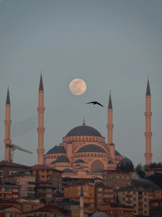 a bird flying by a moon on a cloudy sky