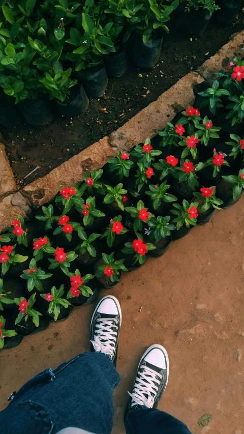 a person with their legs crossed on the ground next to a flower bed