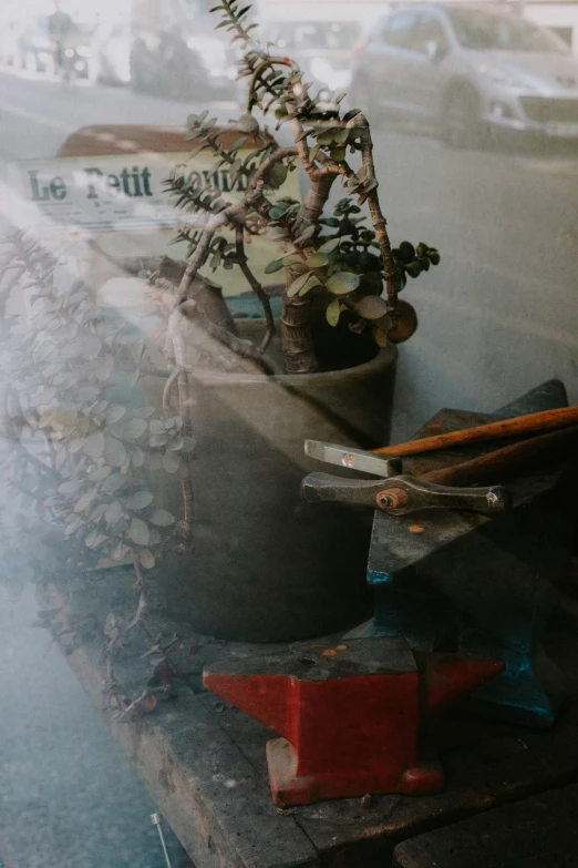 potted plants are on the top of the pile of junk