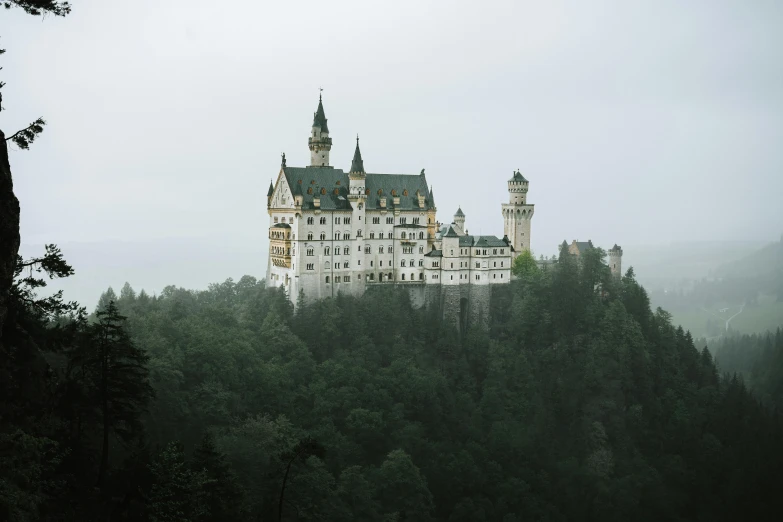 a large castle that is surrounded by a forest