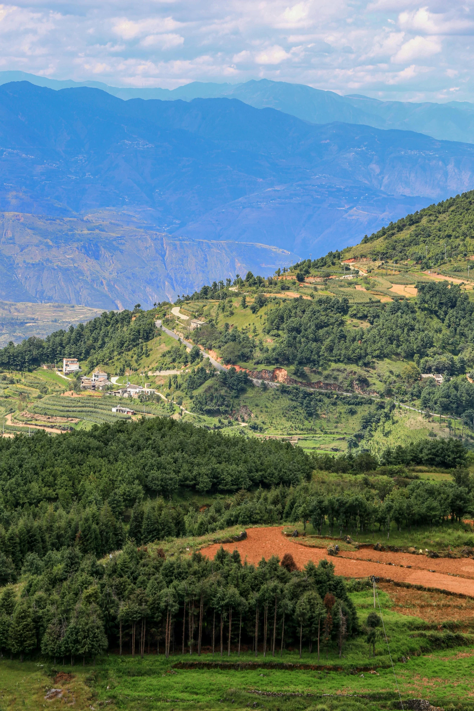 a large hillside with trees and hills behind