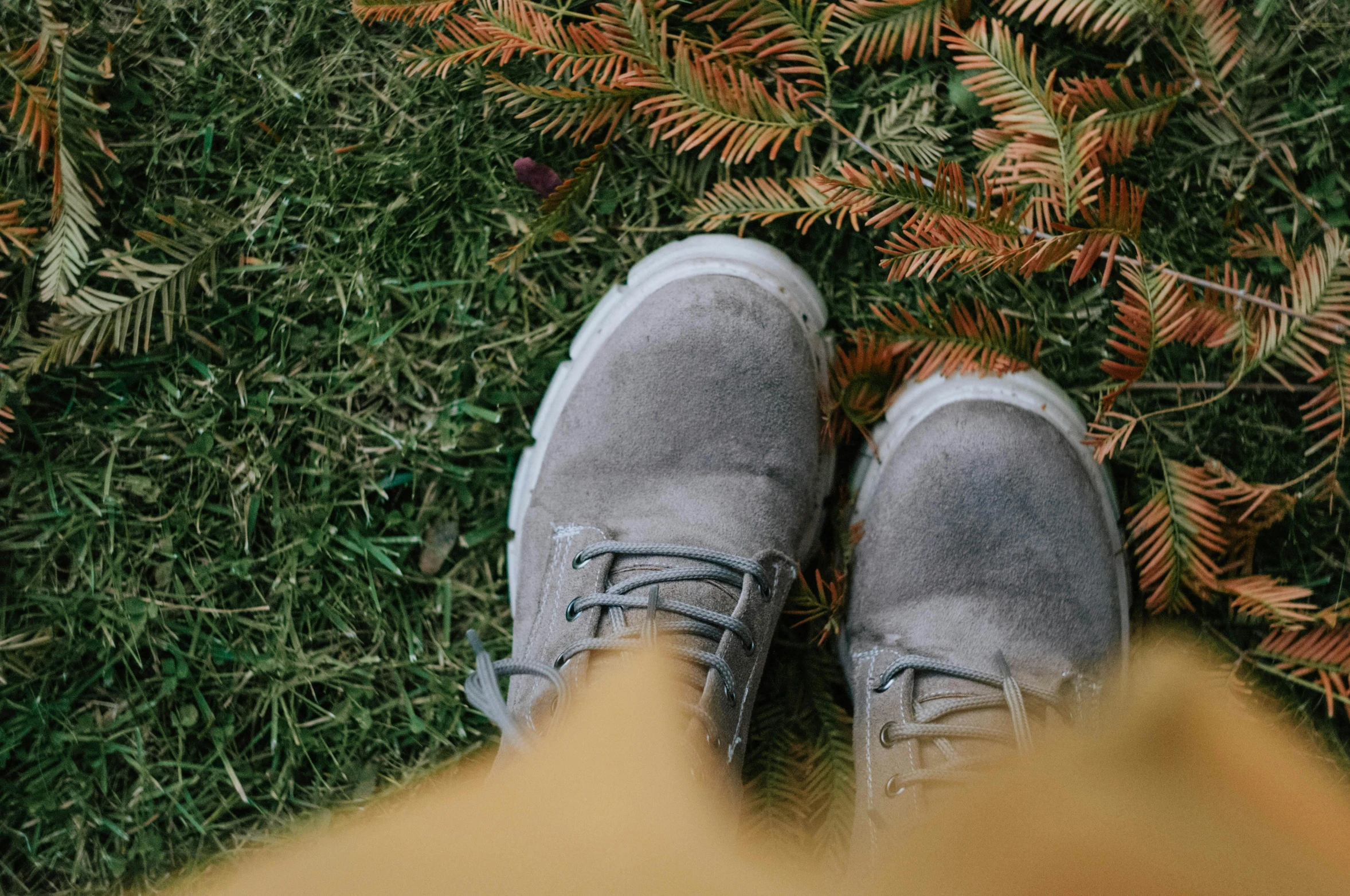 a pair of shoes sits on the grass