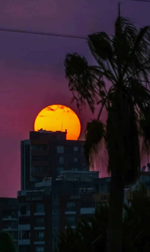 an orange and red sunset behind some tall buildings