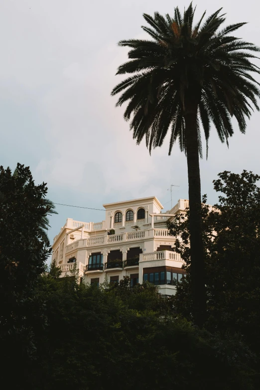 a very large white building with a big tree