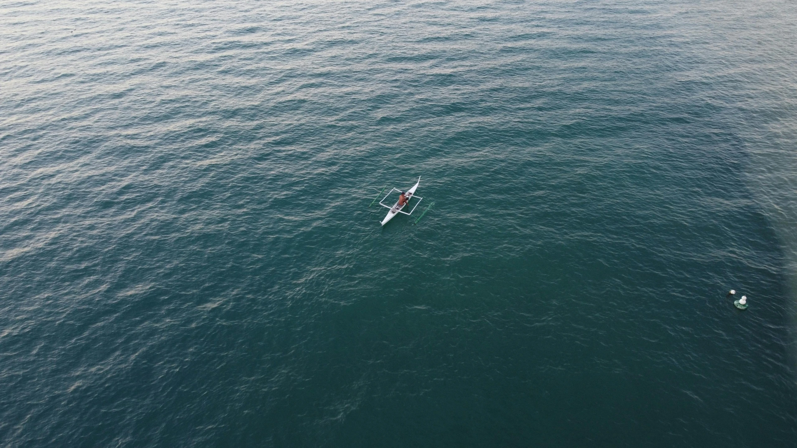 two people on surfboards in the water