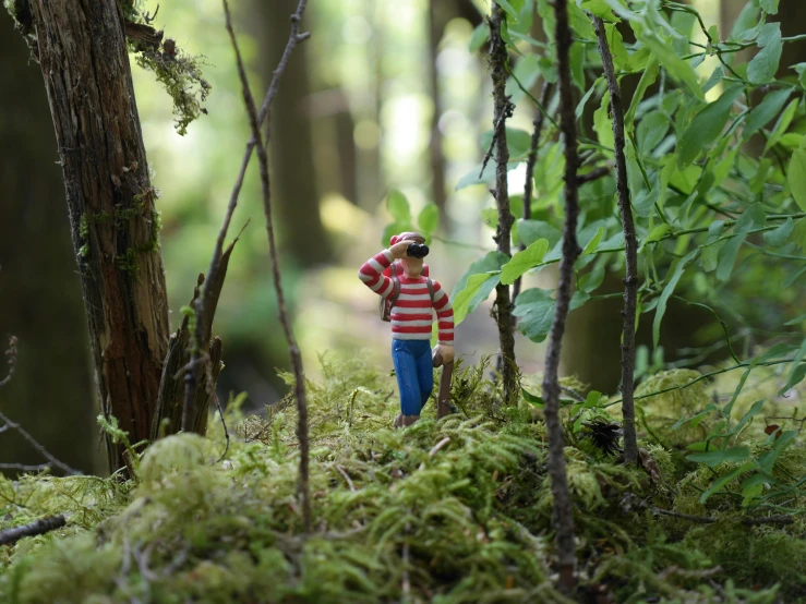 a small toy is standing on the moss in the woods