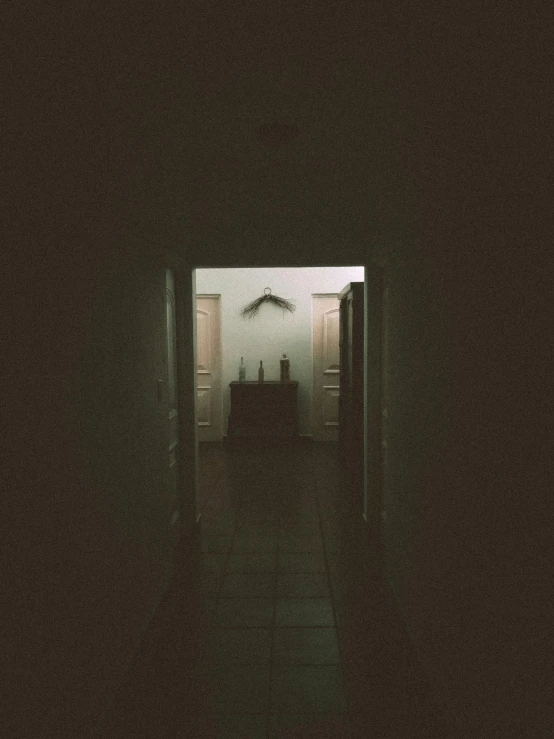 view from the inside through a hallway of an open door