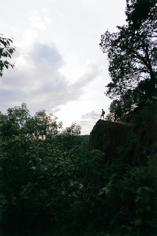 view from far above of the trees towards a cliff with a small cliff face