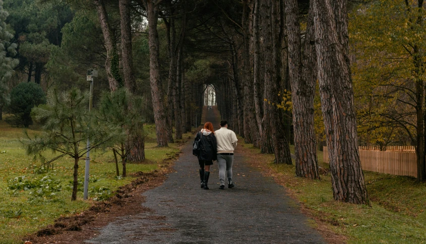 a couple walking down the road towards a tunnel of trees