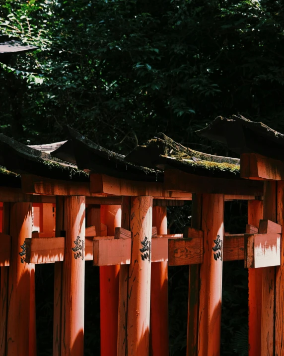 an array of chinese wooden structures in a park