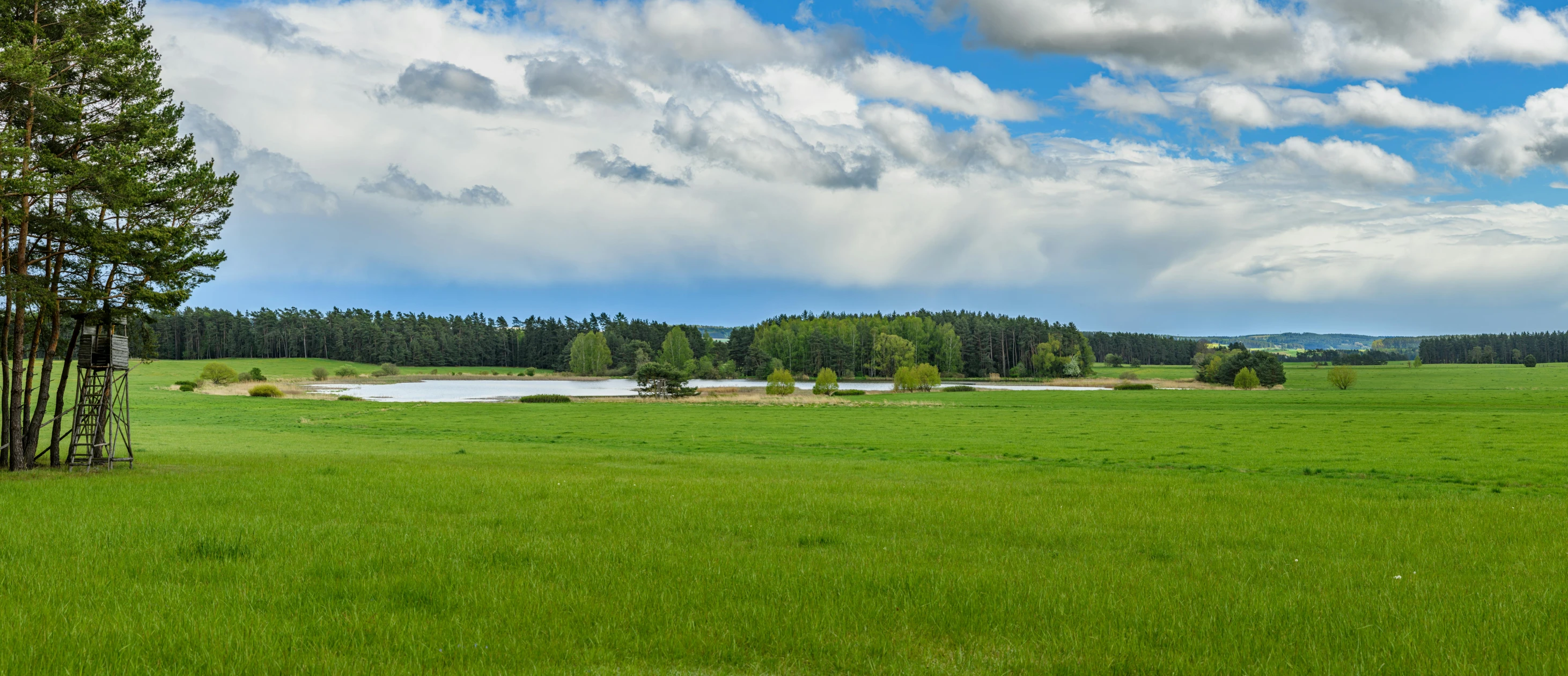 a pasture and some trees on a cloudy day