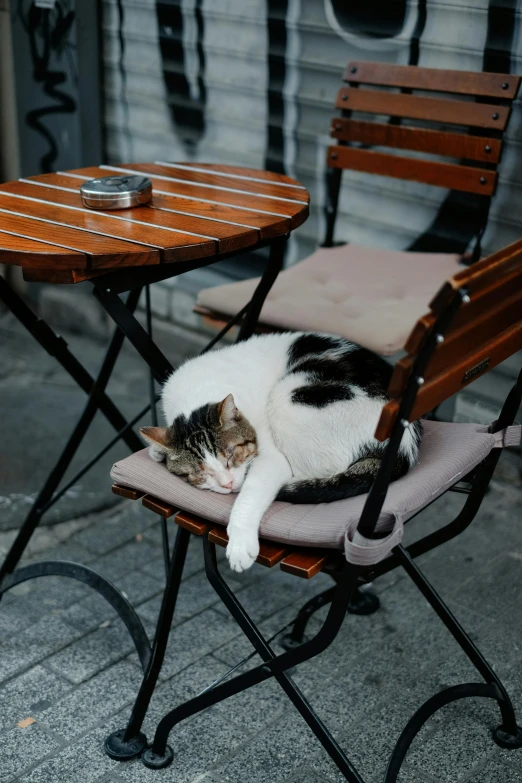 a cat curled up in a chair next to a table