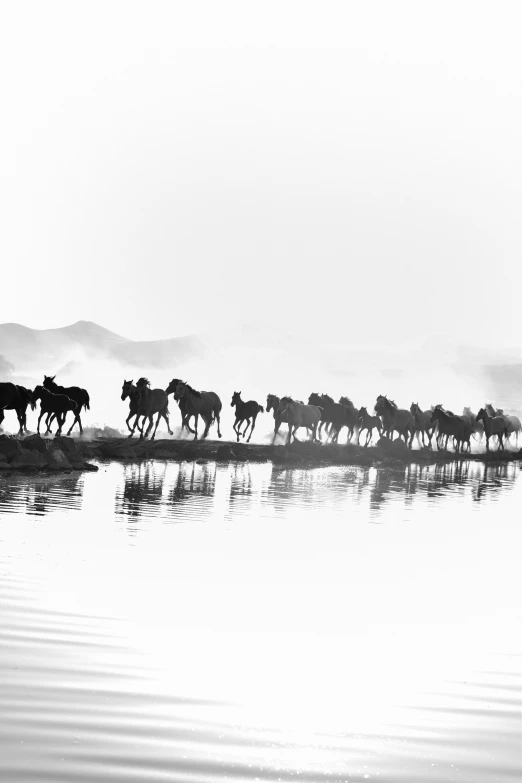 there are many horses running along the shore