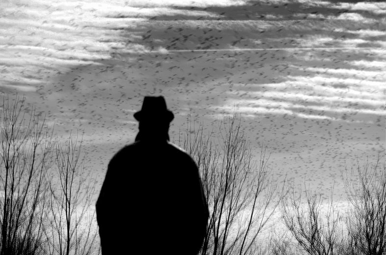 silhouette of man in top hat standing on grassy area under cloudy sky