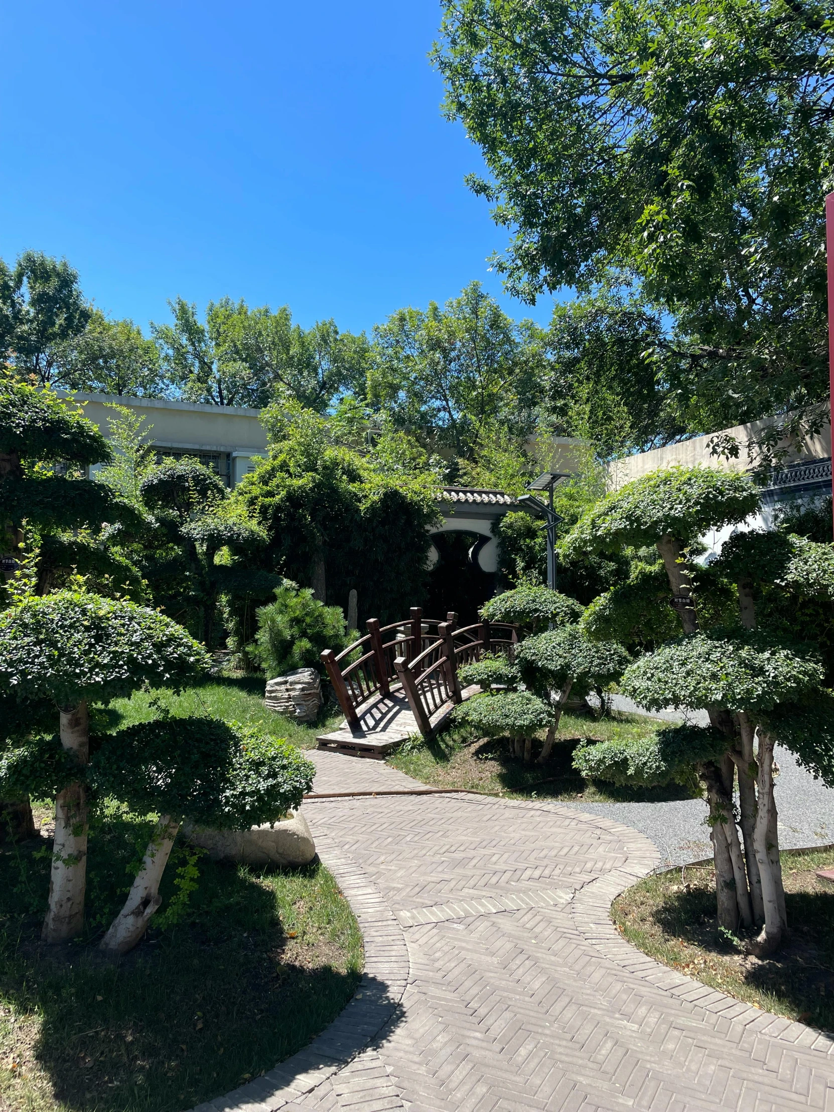 the house is surrounded by trees and bushes