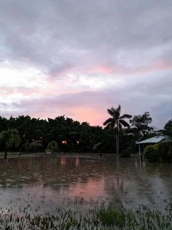 a very flooded area with trees in the background