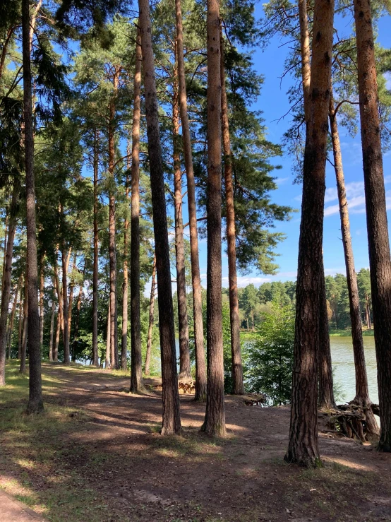 this is the area near a lake where a park bench sits