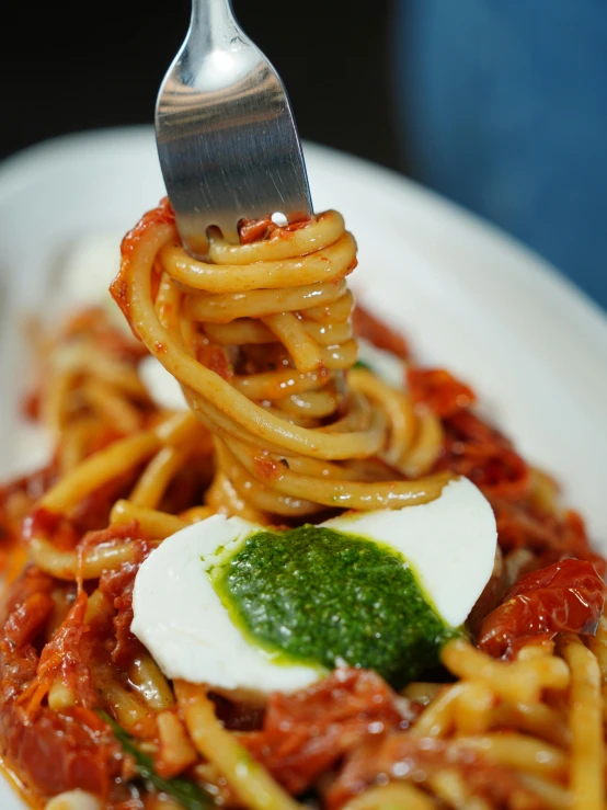 fork full of spaghetti and meat topped with parmesan cheese