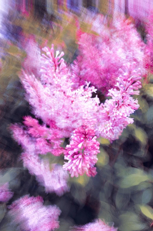 a blurry flower picture in color over a blurry background