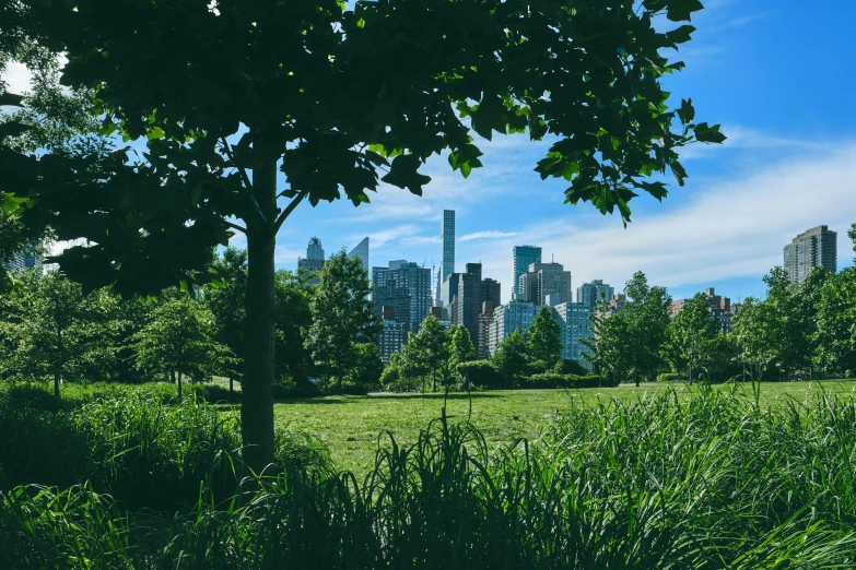 a large city skyline seen from an empty field