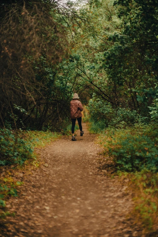 a person standing on a dirt road in the middle of a forest