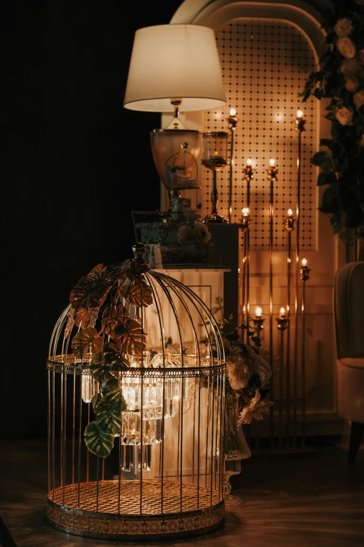 the light is shining in the room with the birdcage