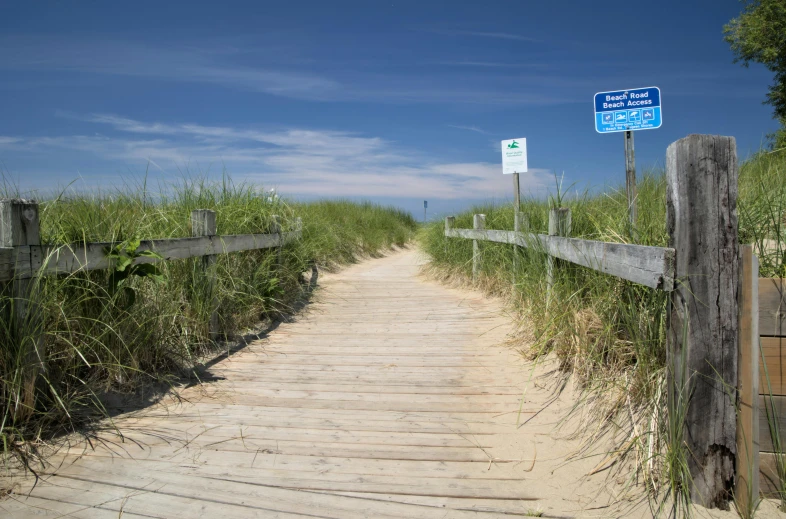 a sign showing a path leading through tall grass