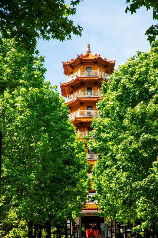 a pagoda tower in the middle of a row of trees