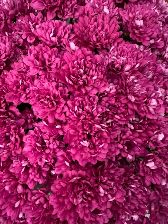 a bouquet of pink flowers is shown close up
