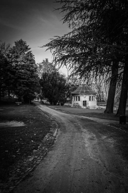 a black and white po of a house between two trees