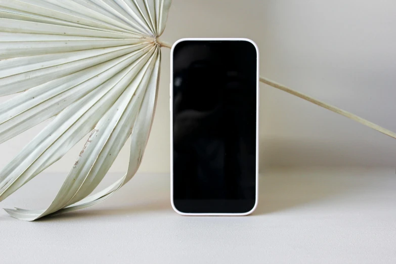 a black cell phone sits next to a white plant