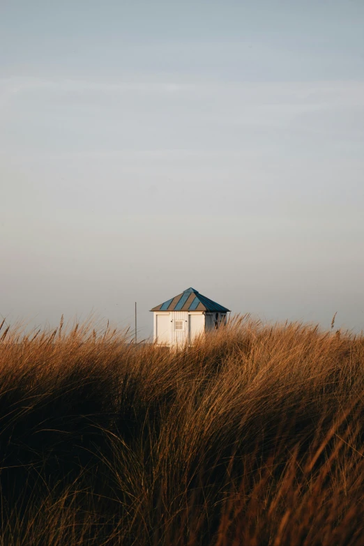 a lone house stands in tall grass next to a hill