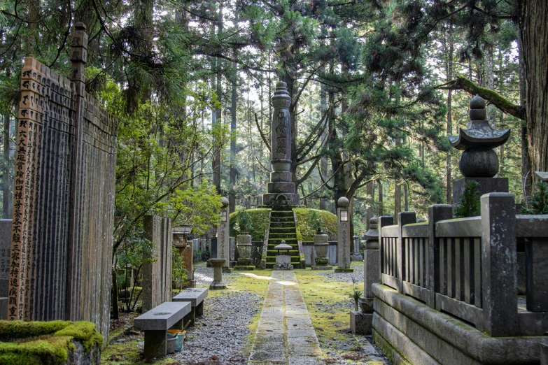 a bunch of stone steps in a forest