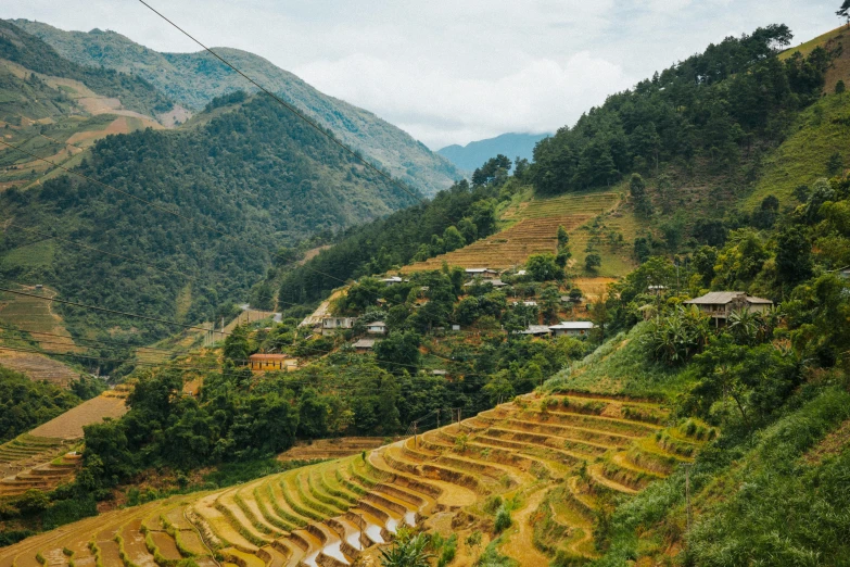 a scenic image with many rice terraces at the bottom of a hill