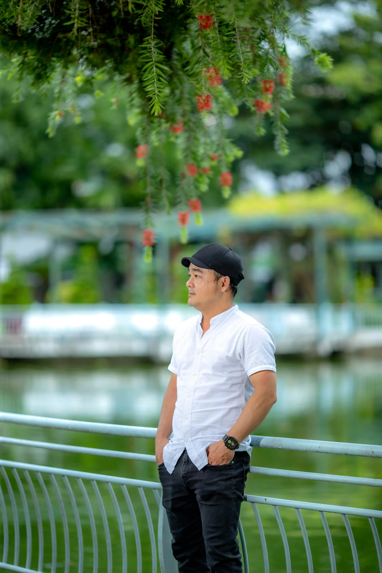 a man is standing under a tree on a bridge