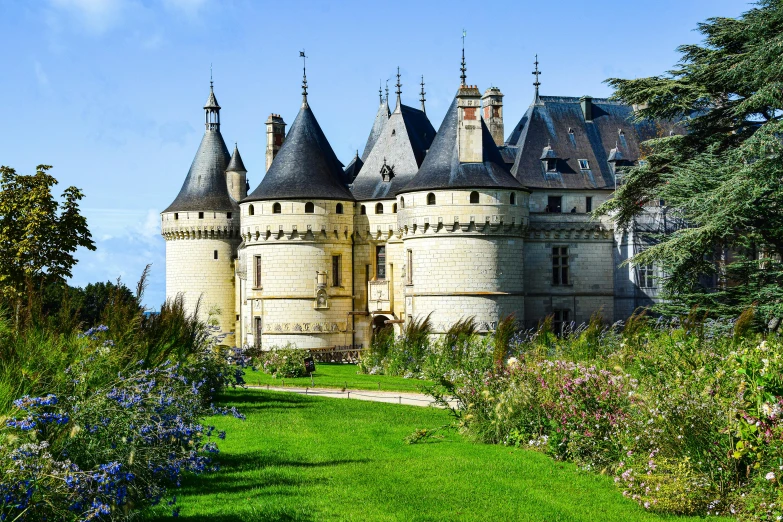 a castle that has its grass and bushes in front