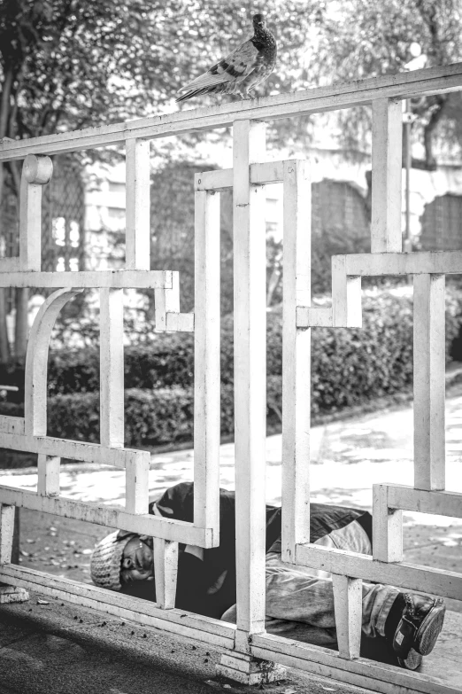 a wood fence with a person laying in it