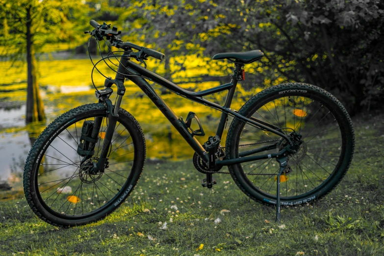 a bicycle resting in a grassy field