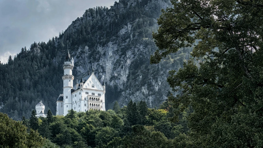 an elaborate white castle nestled in the middle of the forest