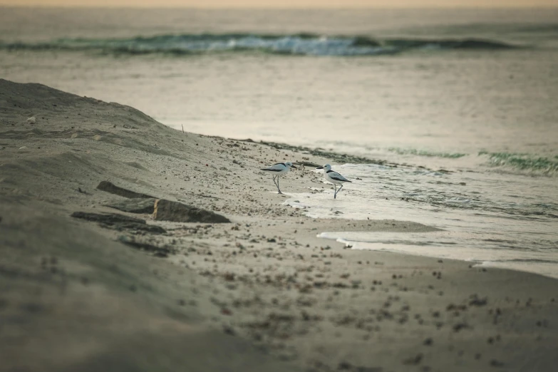 a sandy beach with the ocean in the background