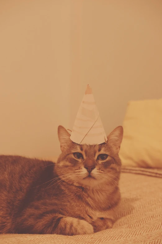 a cat laying on top of a bed with a hat