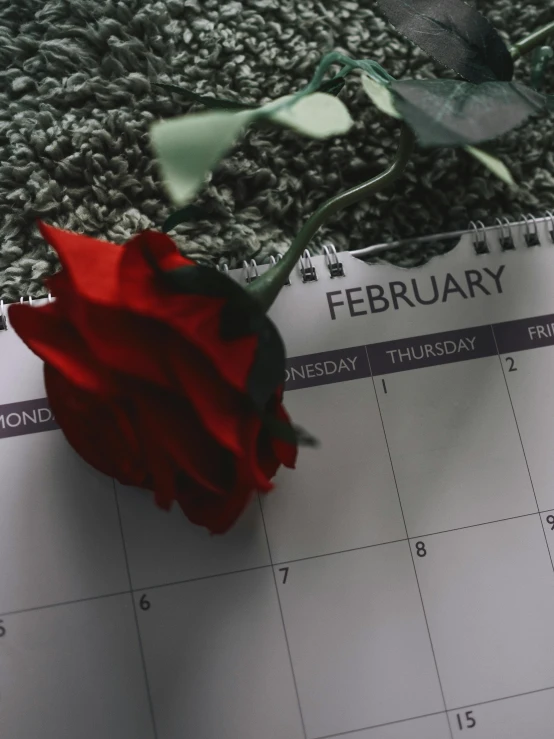 a flower is sitting on a calendar page