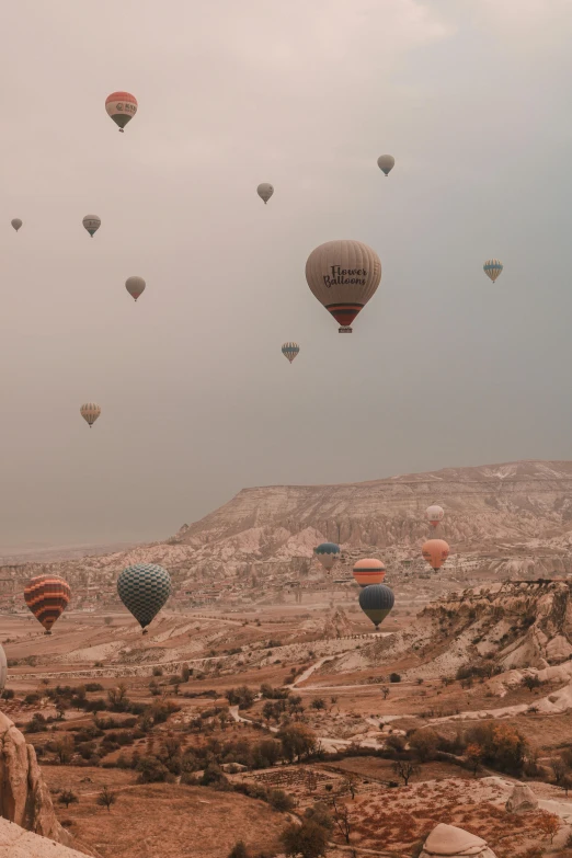 many  air balloons in the sky over a field