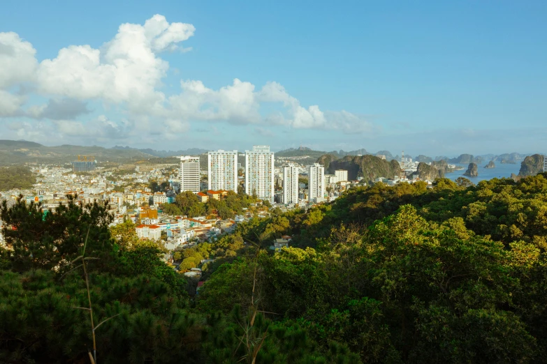 a city and a large body of water surrounded by trees