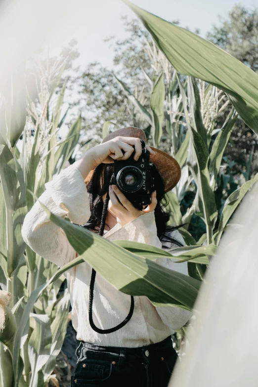 woman in white top and brown hat with camera taking pictures in corn field