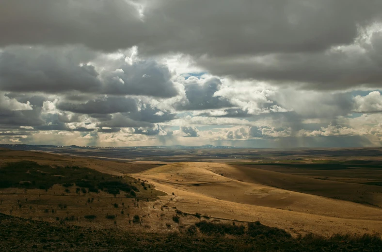 a view of a dirt road with a field in the background