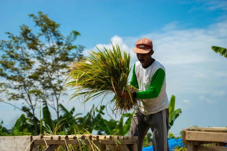 the man is holding some plants near his house